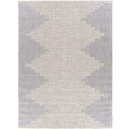 5'3" x 7' Rug