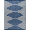 Surya Malibu 6'7" x 9' Rug