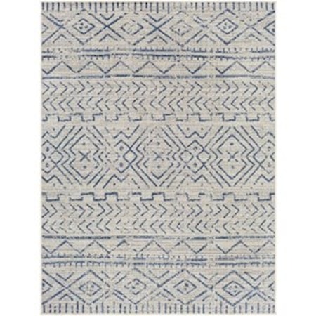 6'7" x 9' Rug
