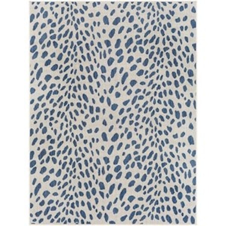 7'10" x 10' Rug