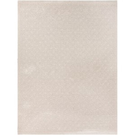 5' x 7' 6" Rug