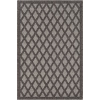 2' x 3' Rug