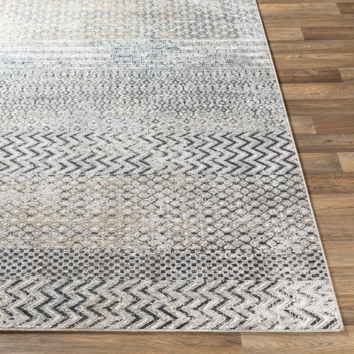 9' x 12'3" Rug