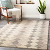 Surya Montclair 4' x 6' Rug