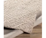 Surya Montclair 2' x 3' Rug