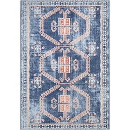 5'3" x 7'3" Rug