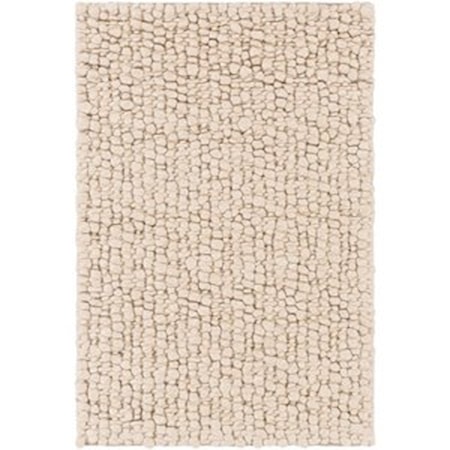 2' x 3' Rug