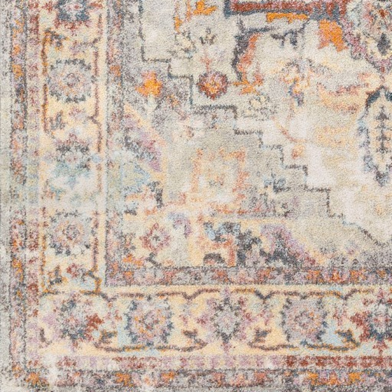 Surya New Mexico 2' x 3' Rug