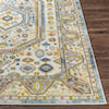 Surya New Mexico 2' x 3' Rug