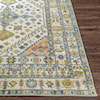 Surya New Mexico 2' x 3' Rug