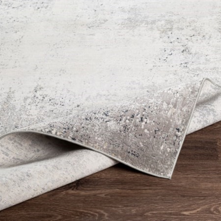 2&apos; x 3&apos; Rug