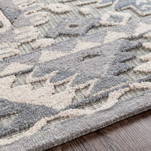 Surya Oakland 2' x 3' Rug