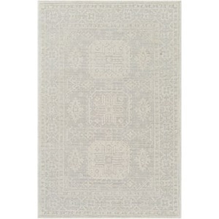 2' x 3' Rug