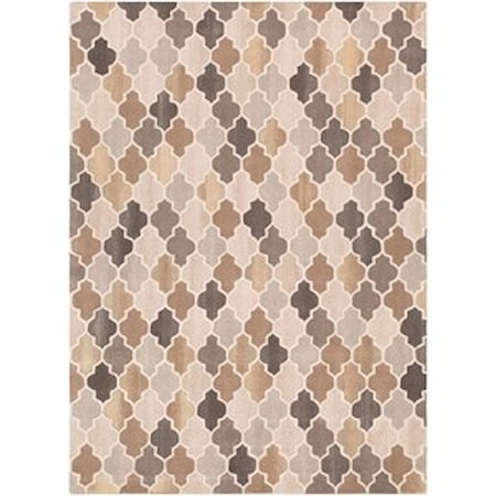 8' x 11' Rug