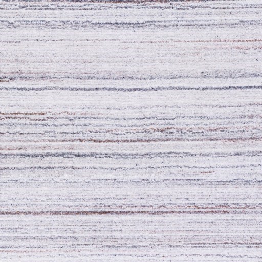 Surya Olivia 2'3" x 3'9" Rug