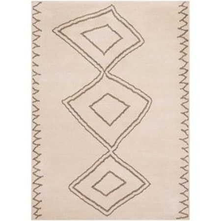 5'3" x 7'3" Rug
