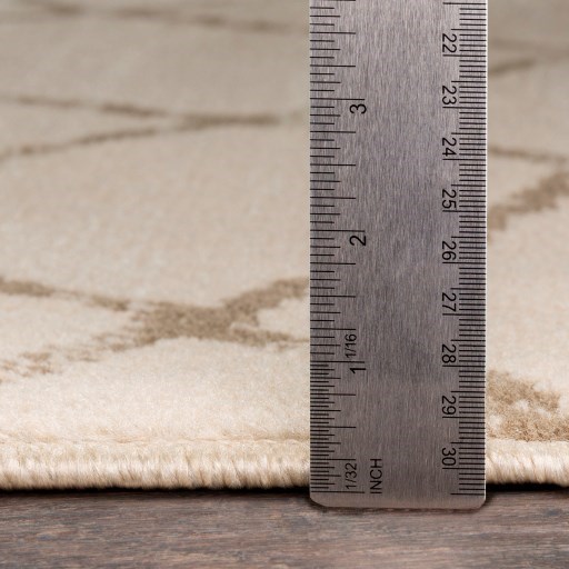 Surya Oslo 2' x 2'11" Rug