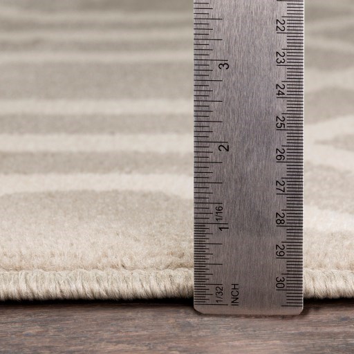 Surya Oslo 2' x 2'11" Rug