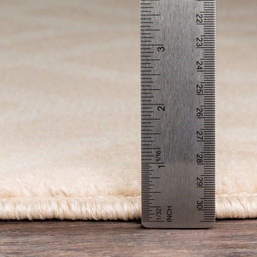 Surya Oslo 2' x 2'11" Rug