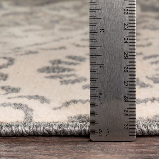 Surya Oslo 7'10" x 10'2" Rug