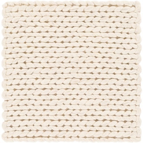 2' x 3' Rug