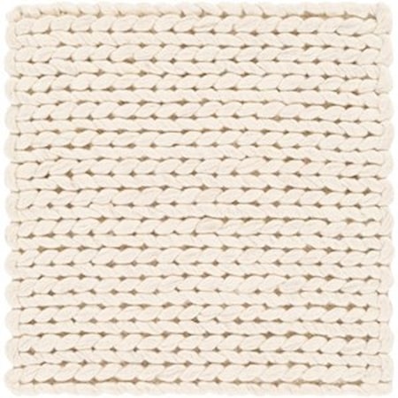 2' x 3' Rug