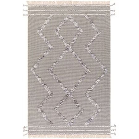PLA-2303 5' x 7'6" Rug