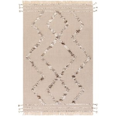 PLA-2304 2' x 3' Rug