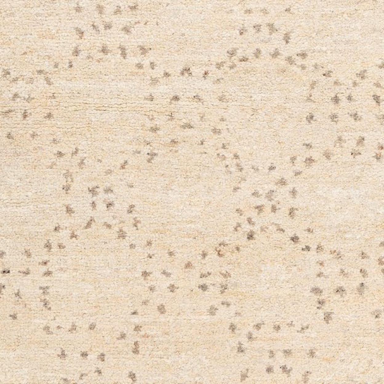 Surya Pampa 2' x 3' Rug