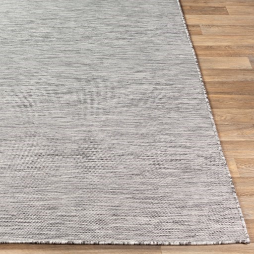 Surya Pasadena 2'7" x 7'3" Rug
