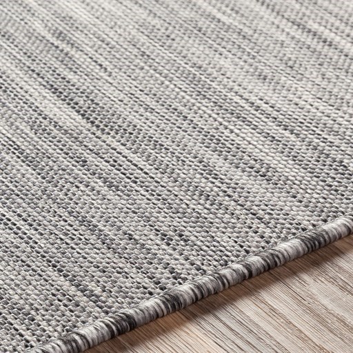 Surya Pasadena 2'7" x 7'3" Rug