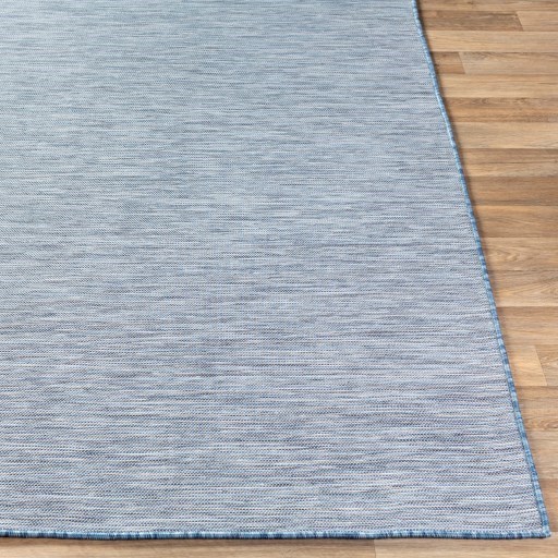 Surya Pasadena 2'7" x 7'3" Rug