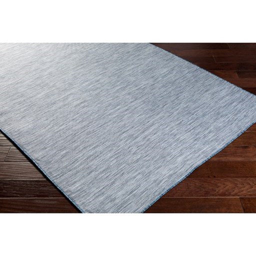 Surya Pasadena 2'7" x 7'3" Rug