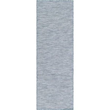 2'7" x 7'3" Rug