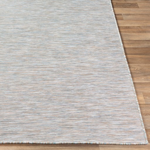 Surya Pasadena 2'7" x 4'11" Rug