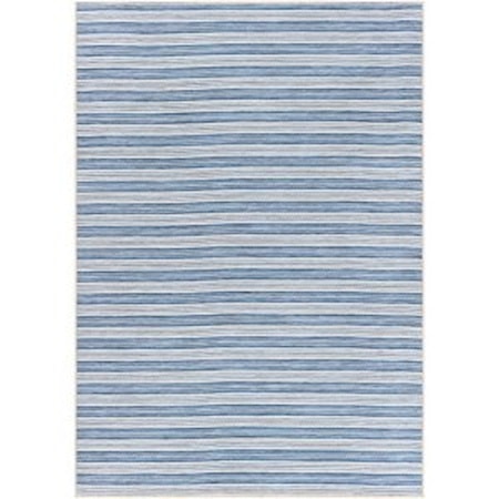 2'7" x 4'11" Rug