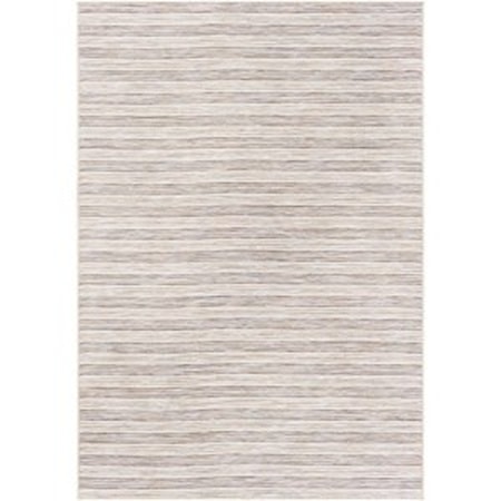2'7" x 4'11" Rug