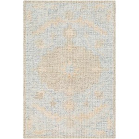 2' x 3' Rug