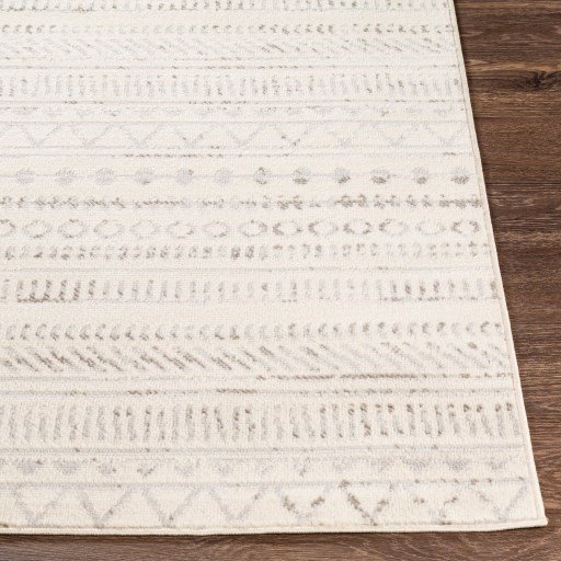 Surya Pisa 5' x 7' Rug