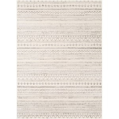 5' x 7' Rug