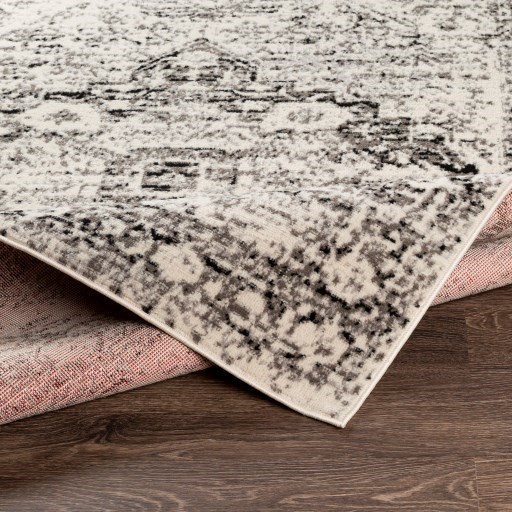 Surya Pisa 6'7" x 9' Rug