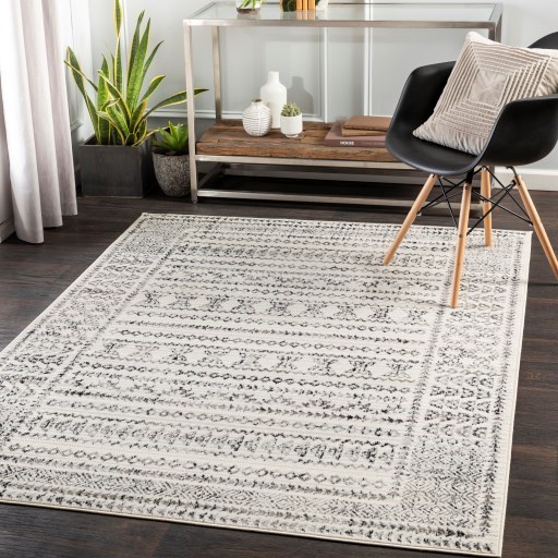5' x 7' Rug