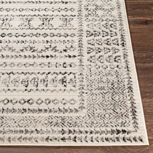 5' x 7' Rug
