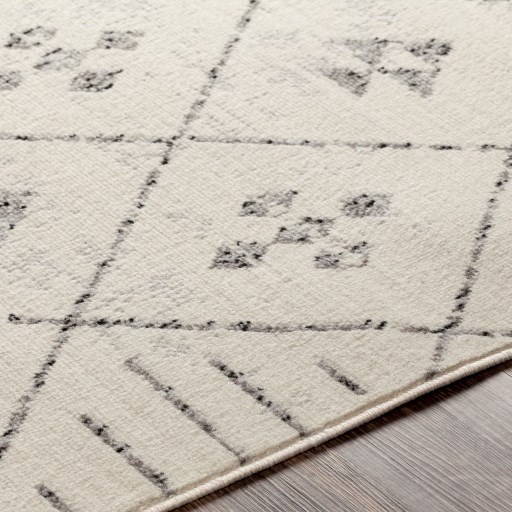 Surya Pisa 6'7" x 9' Rug