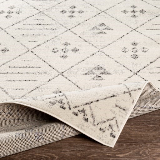 Surya Pisa 6'7" x 9' Rug