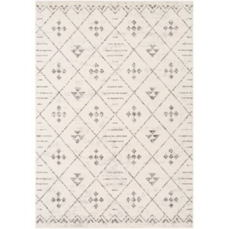 6'7" x 9' Rug