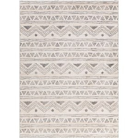 6' x 9' Rug