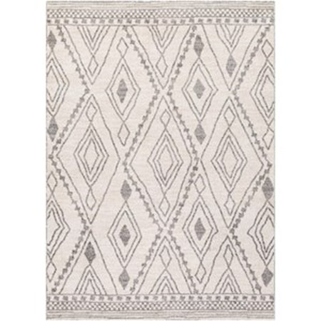 5'3" x 7'3" Rug