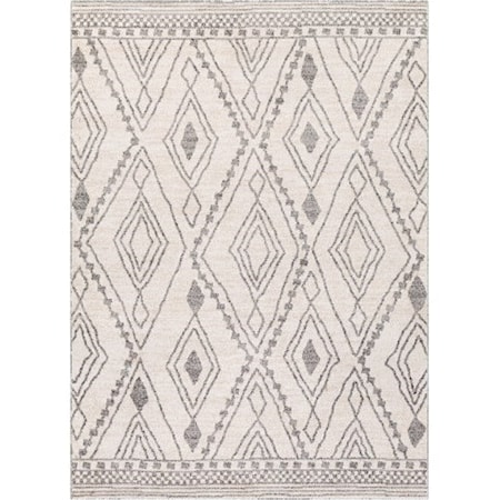 6' x 9' Rug