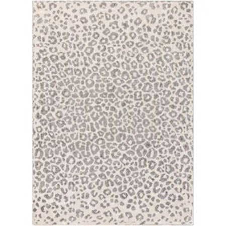 6' x 9' Rug